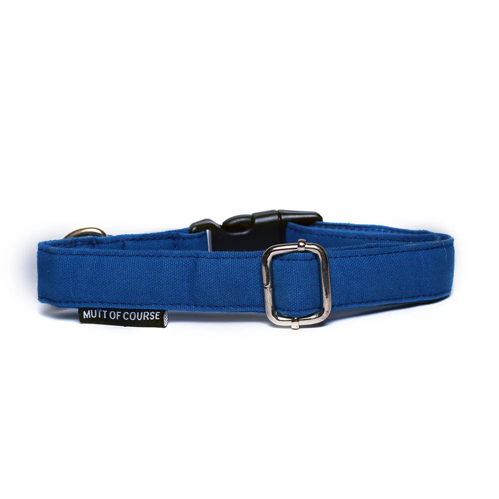 Blueberry Collar (Water Resistant)