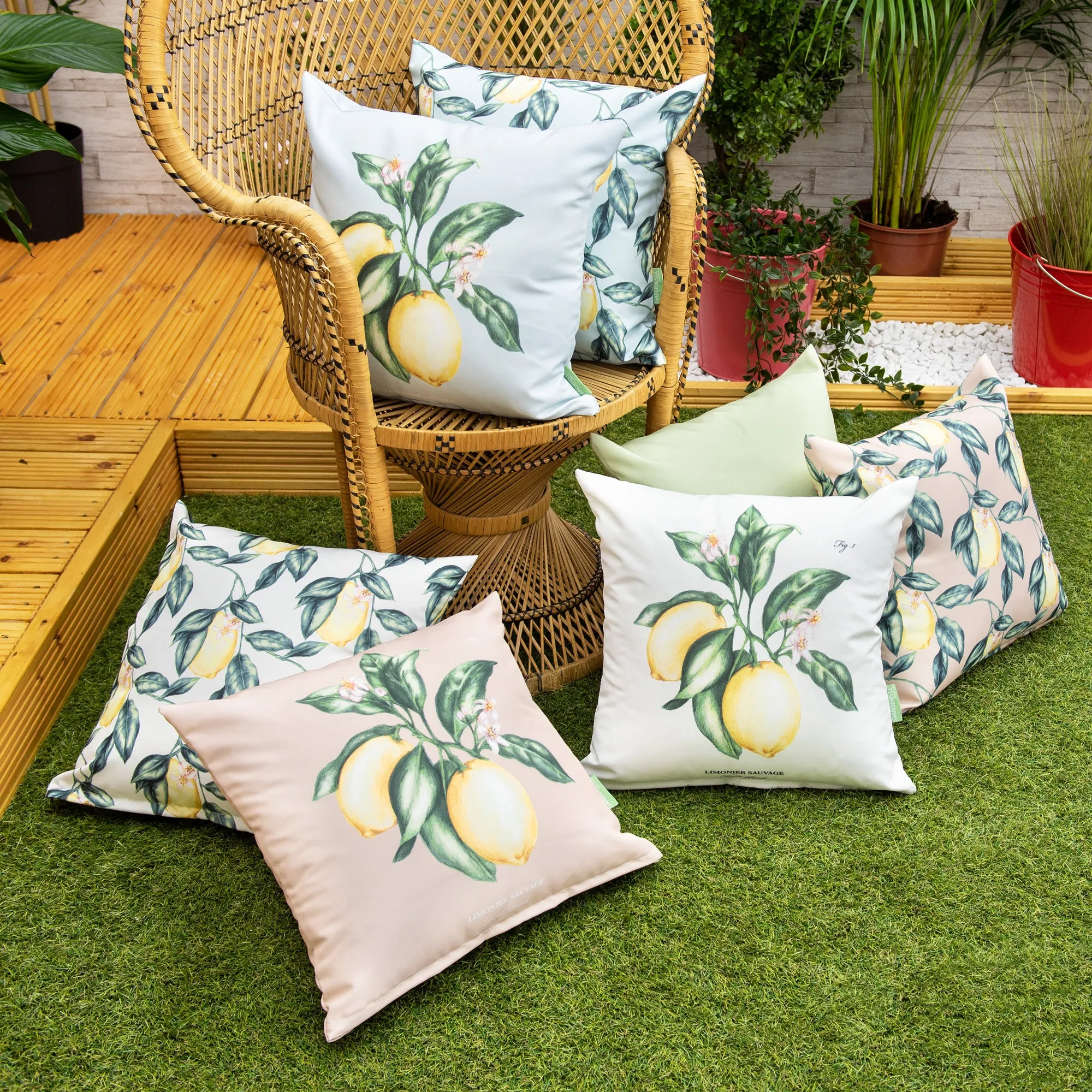 Outdoor Water Resistant Limonier Cushions | Garden Printed Pillow