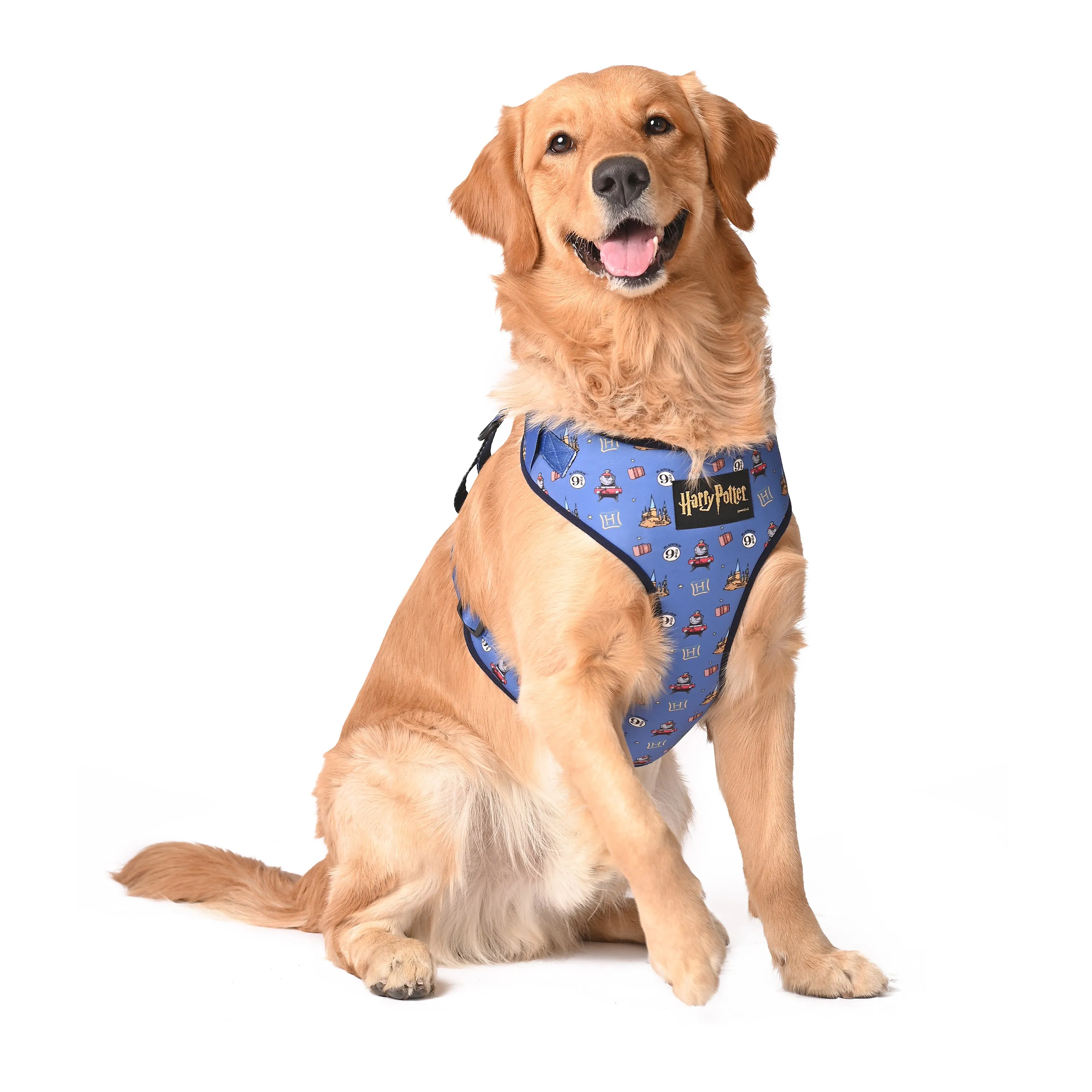 Welcome to Hogwarts Dog Harness